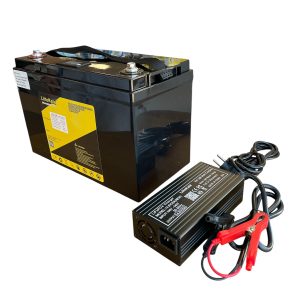 Детайлен изглед на зарядното устройство 14.6V 20A.