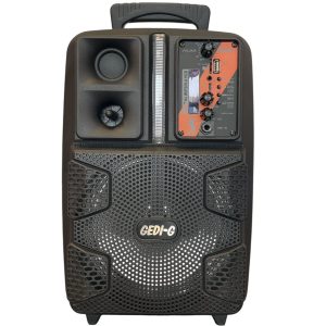 Тонколона PK-16A 8 инча | BT 5.0, USB, Караоке ЕЛЕКТРОНИКА Тонколона PK-16A с 8-инчов говорител и цифров дисплей на маса