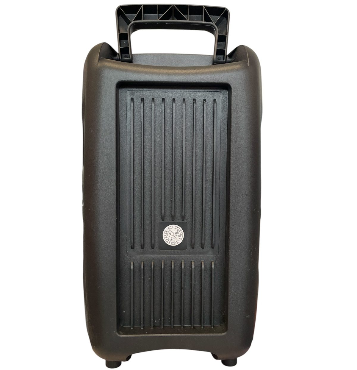 Тонколона PK-16A 8 инча | BT 5.0, USB, Караоке ЕЛЕКТРОНИКА Безжичен микрофон до тонколона PK-16A в домашна обстановка