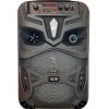 Караоке колона NDR-P55 с 8″ бас и 7-цветна светлинна топка.