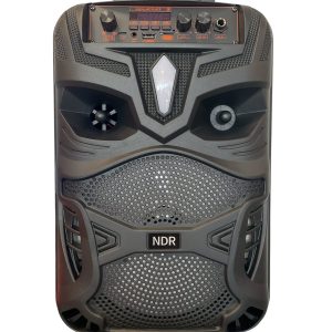 Караоке колона NDR-P55 с 8″ бас и 7-цветна светлинна топка.